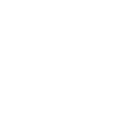 yinbev logo